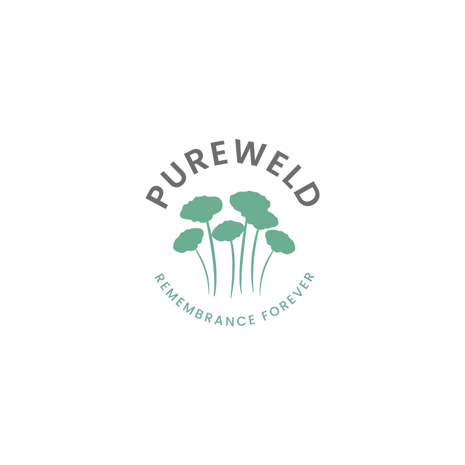 3_High_Resolution_Image